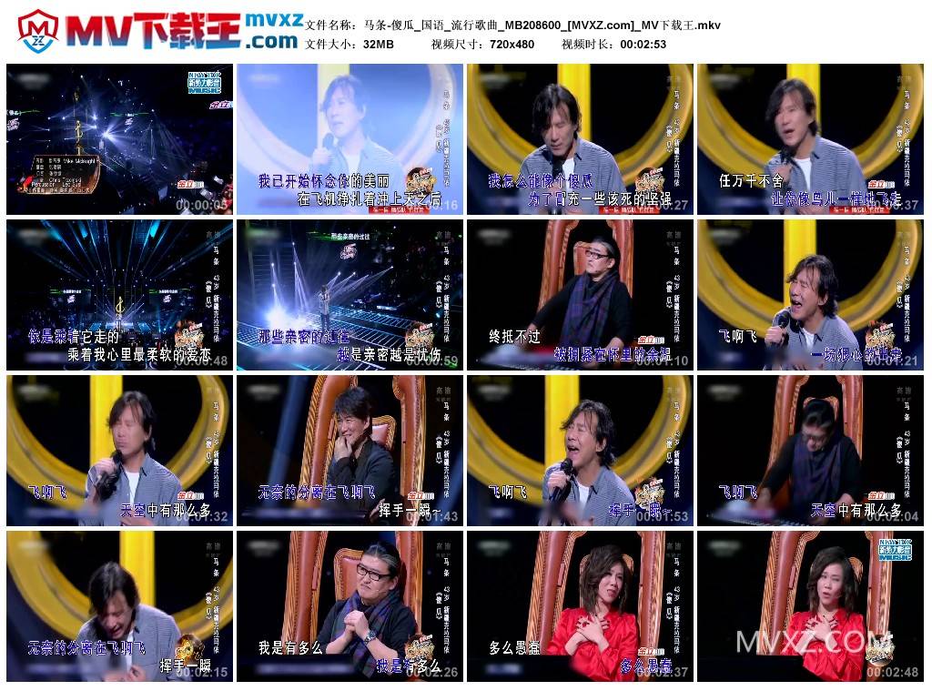 马条-傻瓜_国语_流行歌曲_MB208600